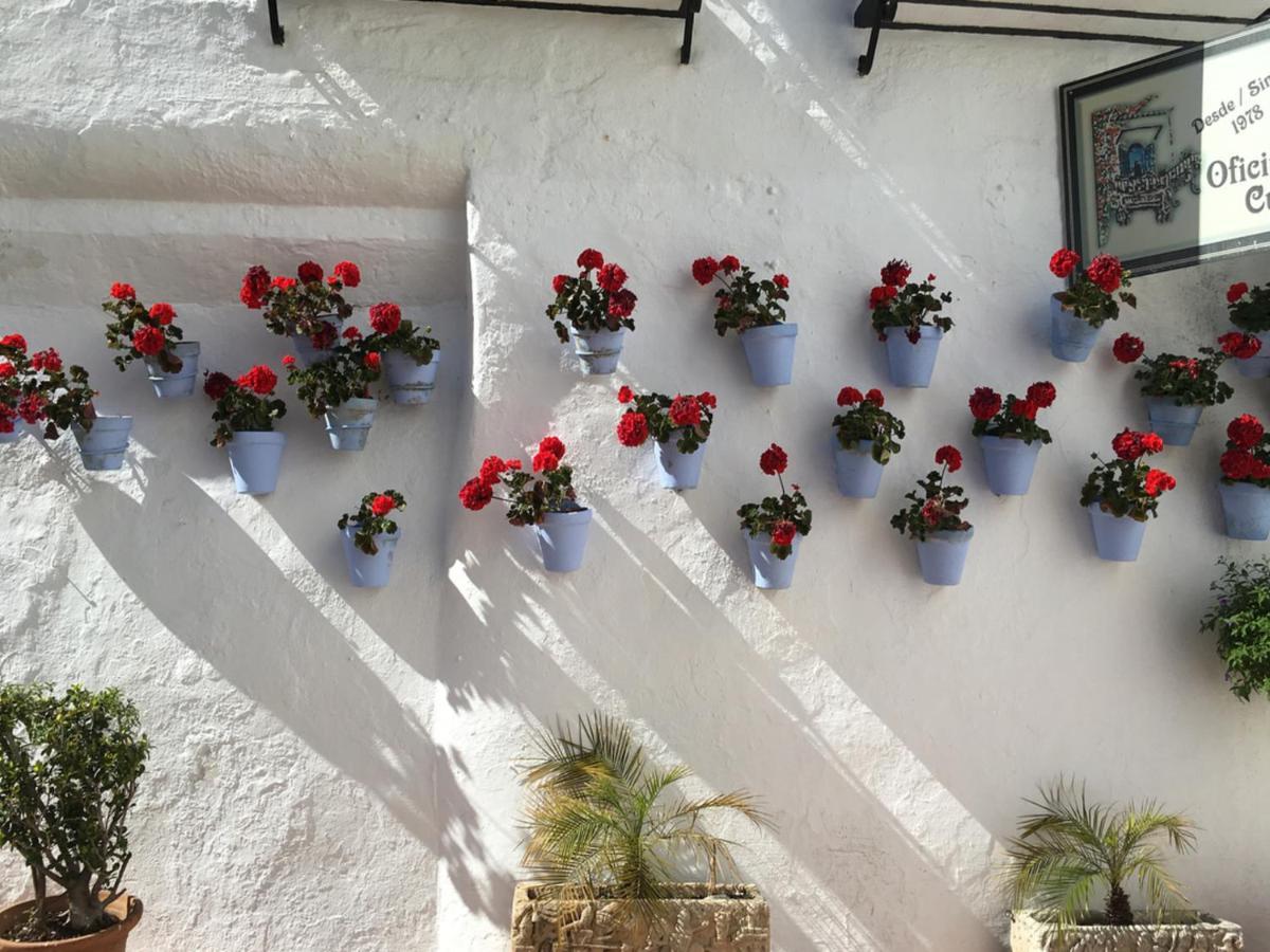 Erisa Ib Carihuela - Torremolinos Apartment Екстериор снимка